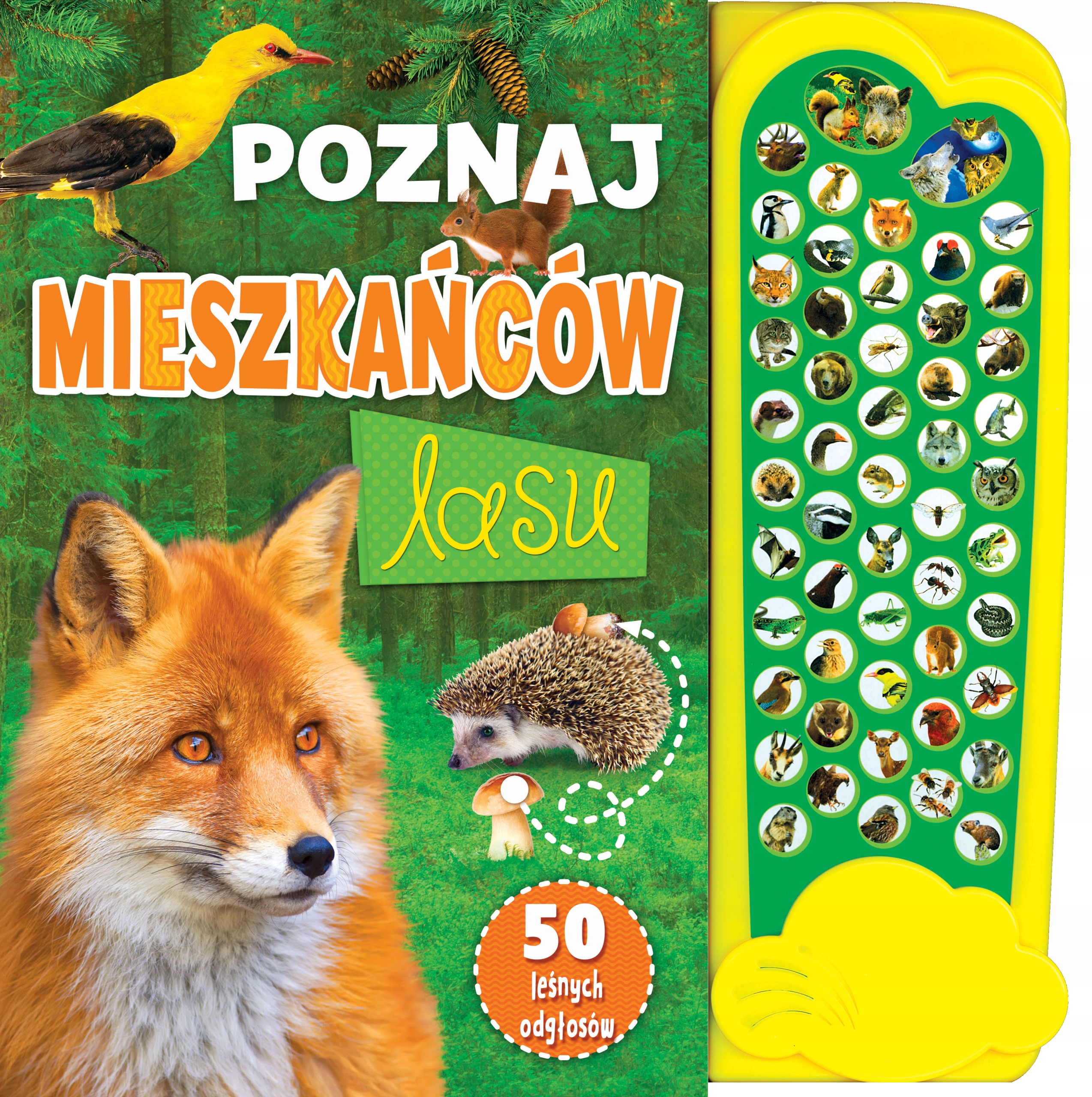 

Poznaj mieszkańców lasu (książeczka dzwiękowa)