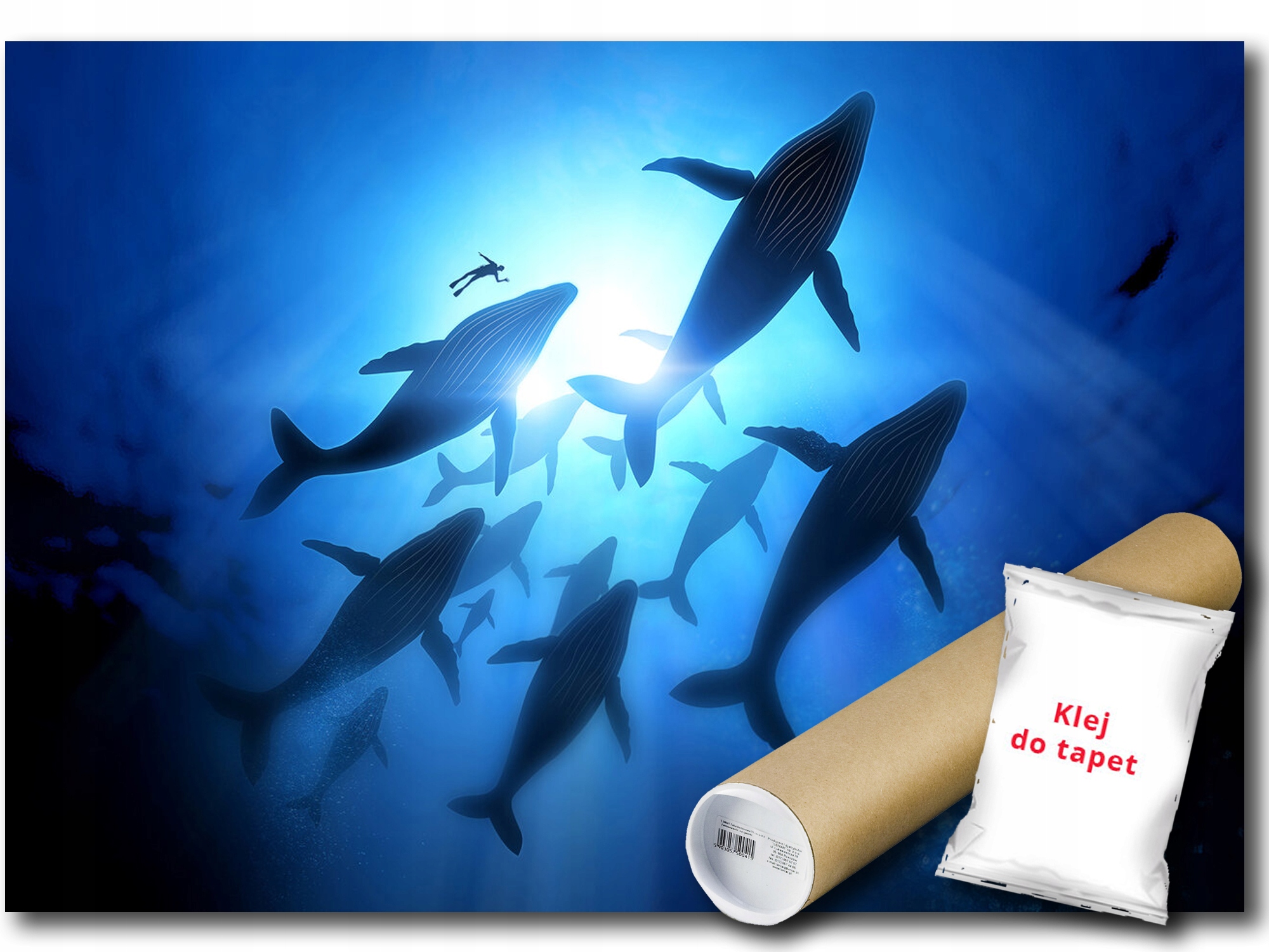 Fototapeta Vinylová Voda Veľryba Oceán More Potápač Plutvonurek 208x146