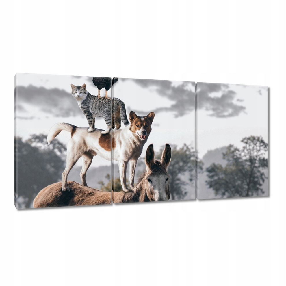 

Obrazy 120x60 Zwierzęta Zwierzątka
