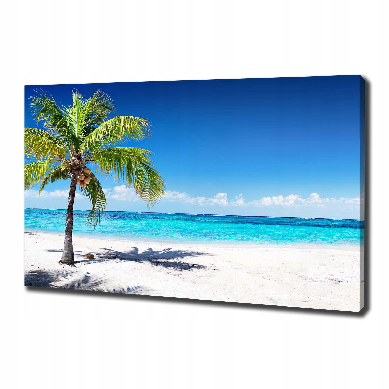 Foto obraz na plátně Tropická pláž 100x70 cm