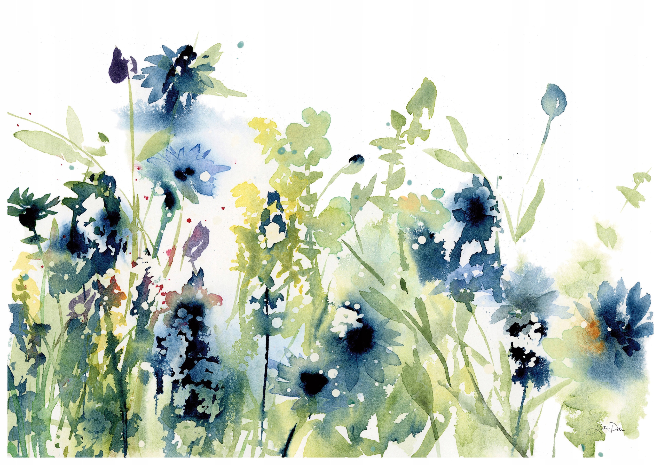 Fototapeta Akvarijní polní květiny vinylová 254x184 lepidlo