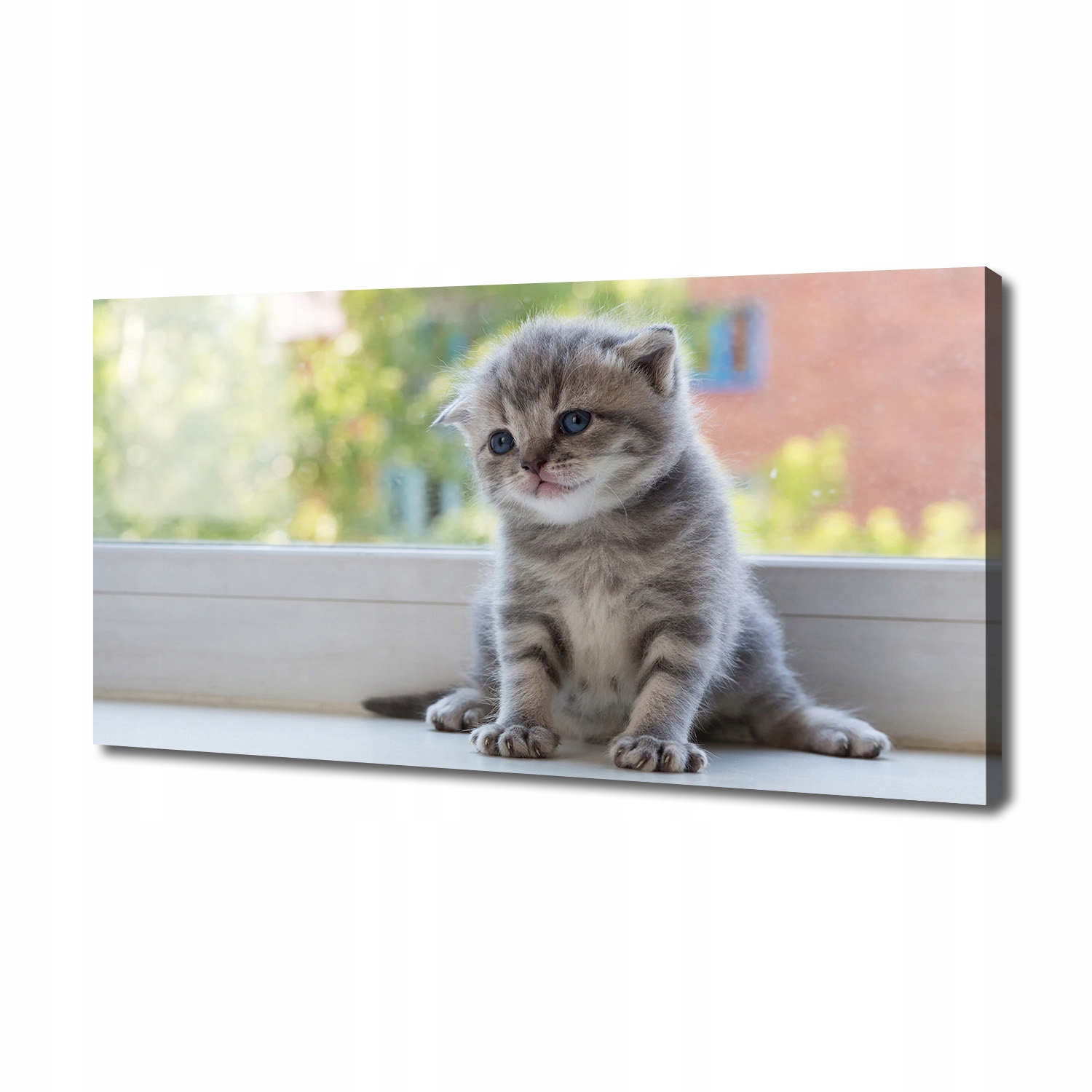 

Foto obraz na płótnie Mały kot przy oknie 140x70cm