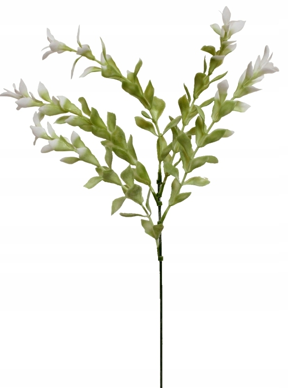 

Eukaliptus Gałązka Biało Zielona 40 cm