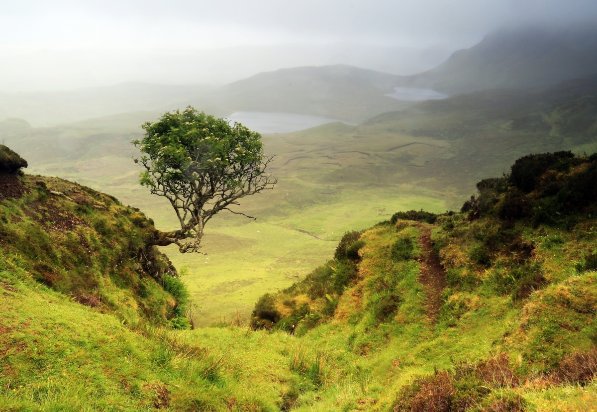 

Fototapeta Flizelinowa Wyspa Skye Szkocja 152x104