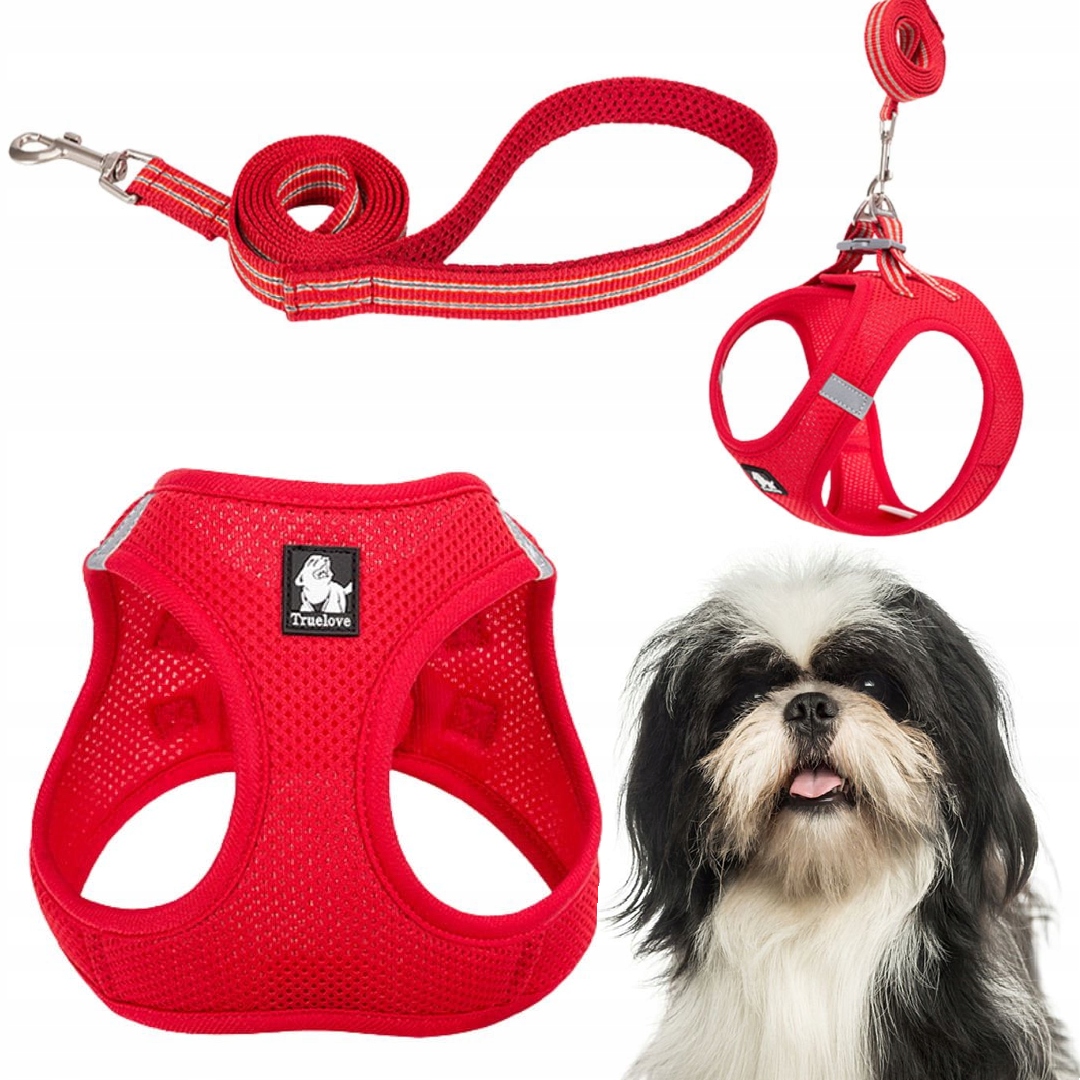 Levně Postroj Vodítko Pro Malého Psa Kočku Lehké Truelove Mini Červené S Sada