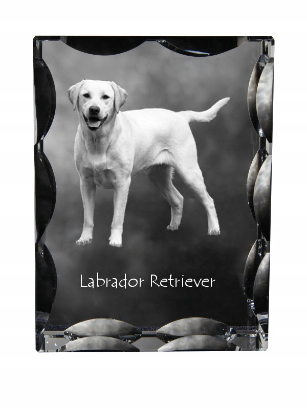 Labradorský retriever fotografia psa v ozdobnom kryštáli, suvenír, dekorácia