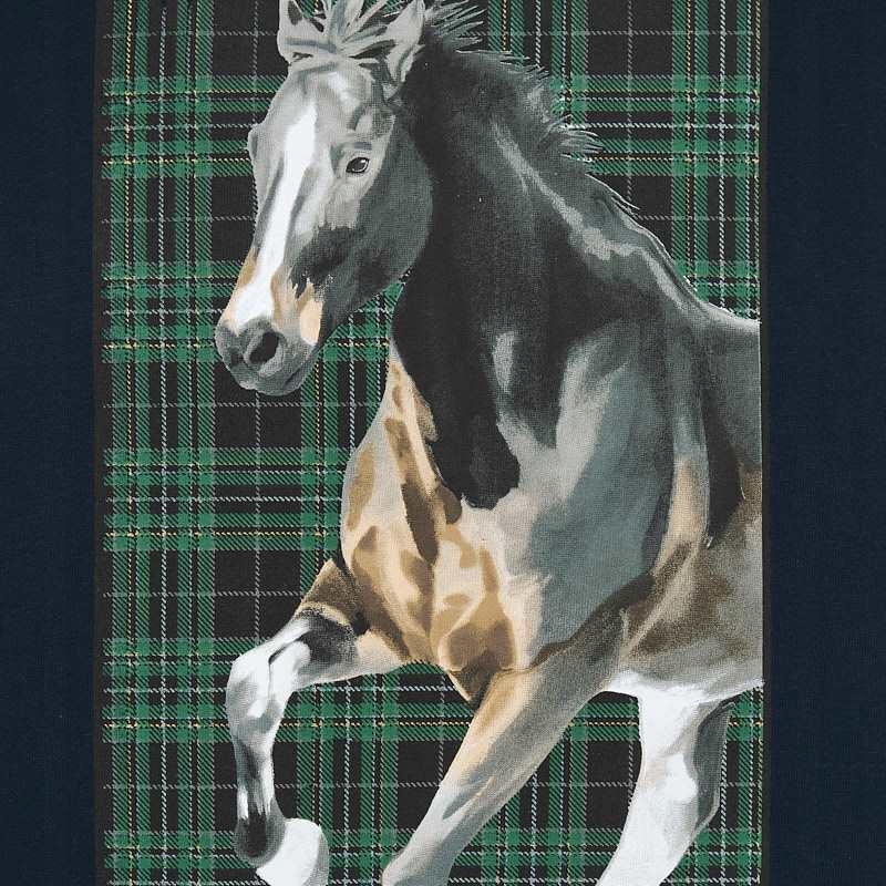 Koszulka d/r wild horse Mayoral Roz: 166cm Płeć chłopcy