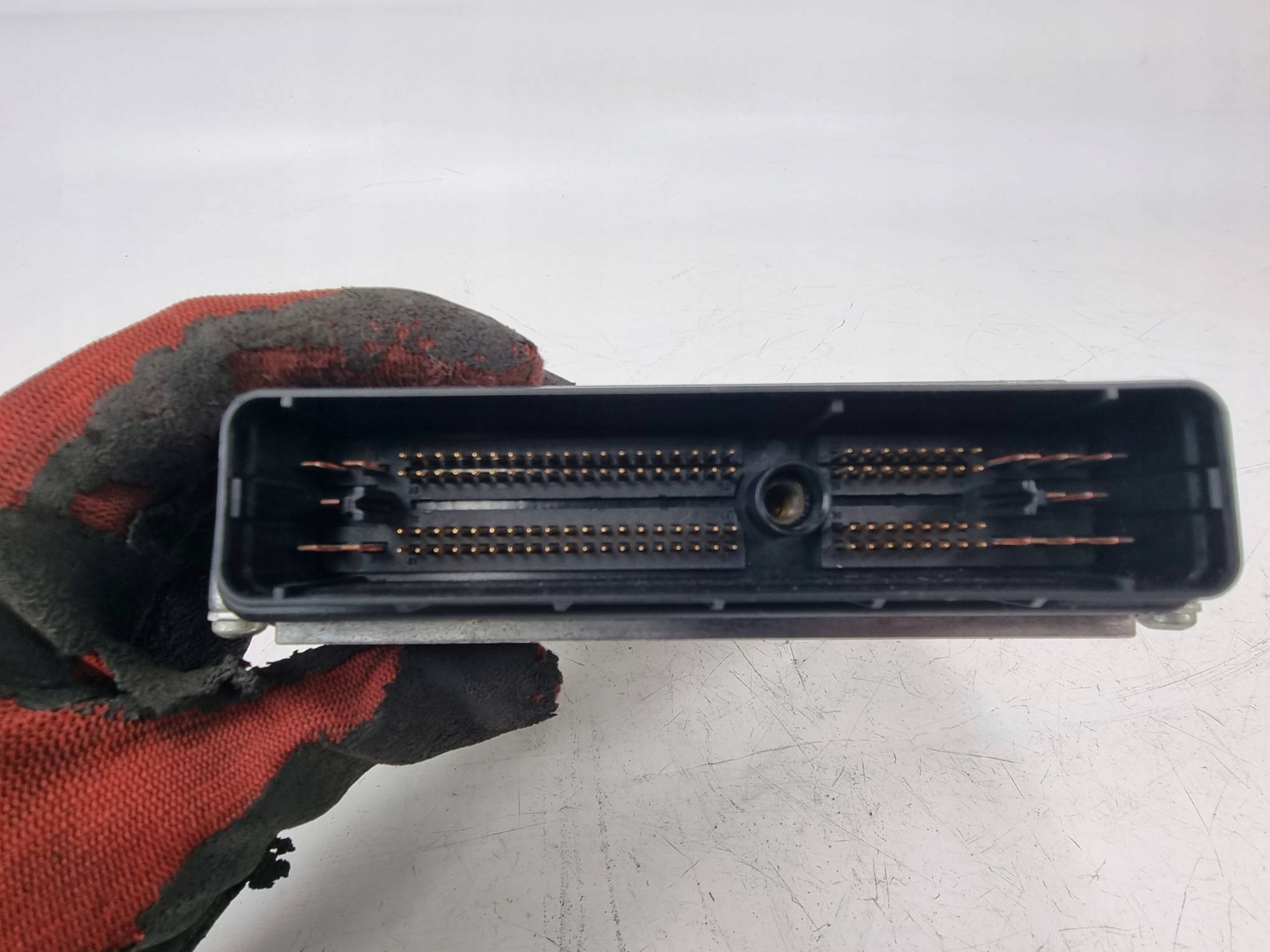Computer 3M51-12A650-LB FORD FOCUS und