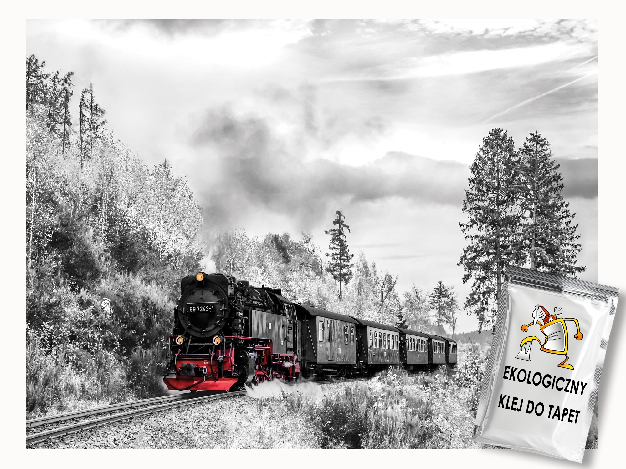 Fototapeta Flizelina Transport Vlak Černobílý Parovoz 300x210 lepidlo