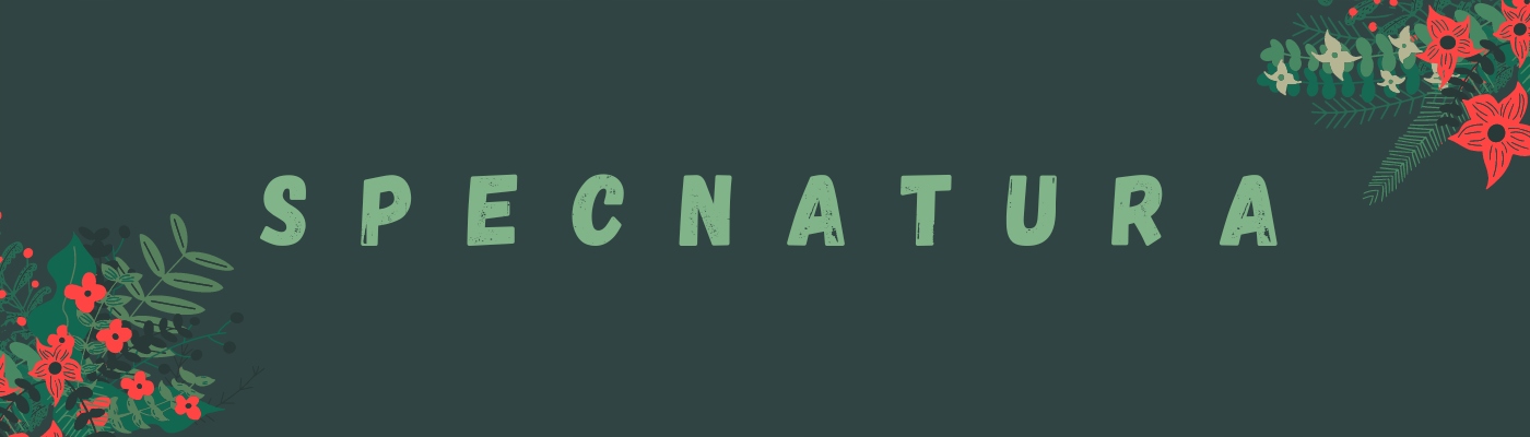 Arganove AŁUN W SZTYFCIE NA SKALECZENIA PO GOLENIU 5g Rodzaj w sztyfcie