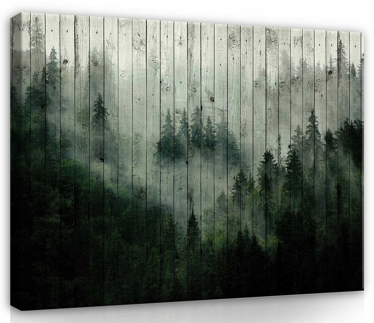 Obraz Na Plátně Canvas 100x75 Les Mlha Hory Desky