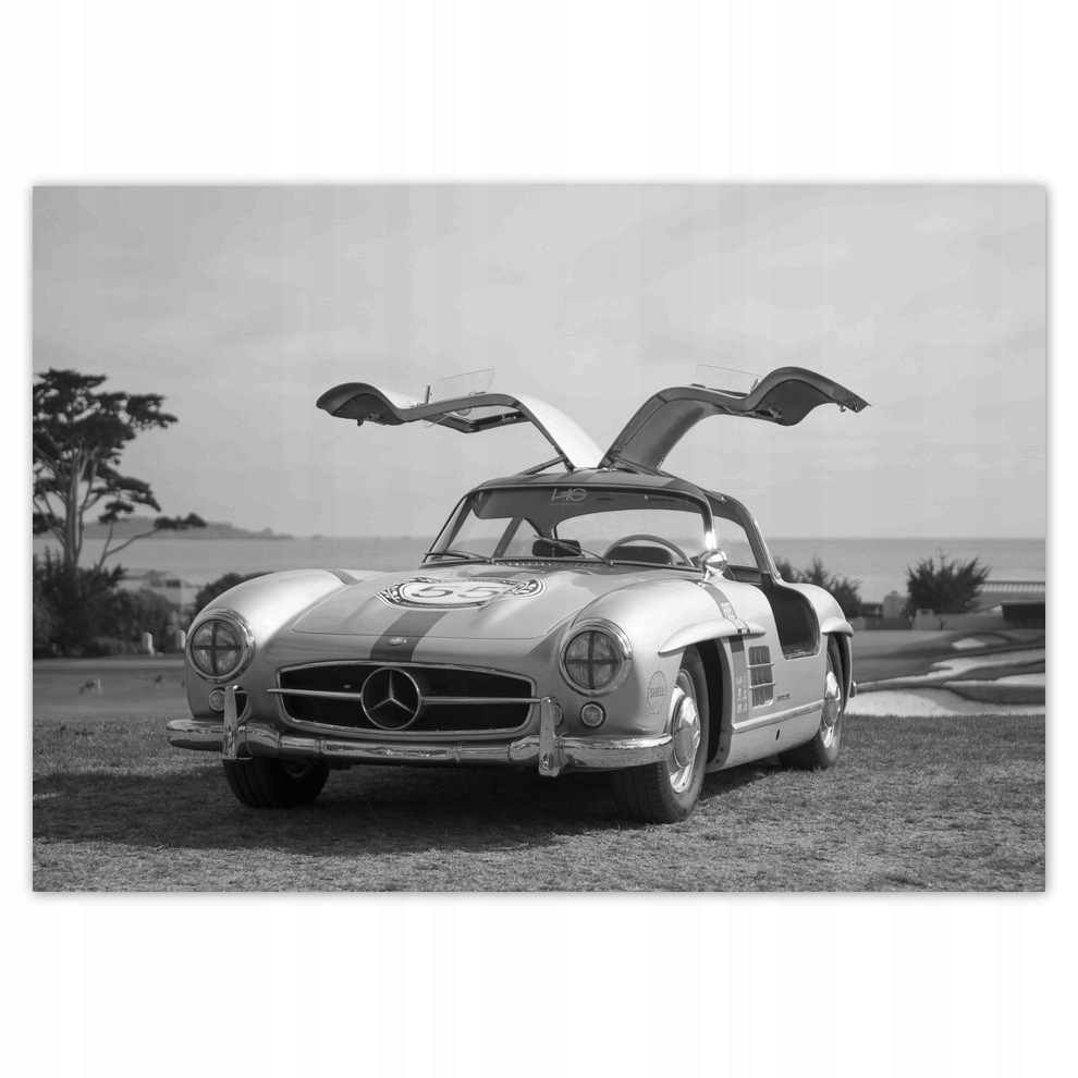 

Fototapety flizelina 416x290 Mercedes Gullwig