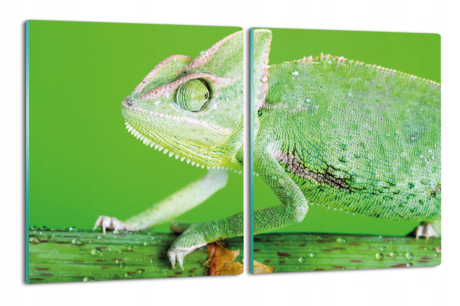 Splashback deska 2x 40x52 skleněná Kameleon plaz