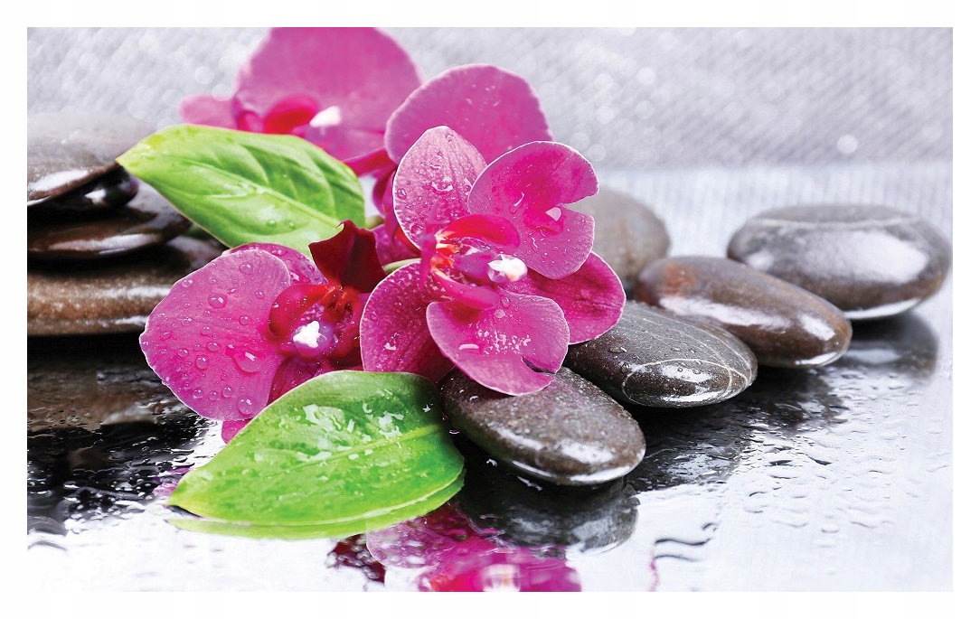 Fototapeta Růžové orchideje Kameny Rosa 254x184 vinylová lepidlo