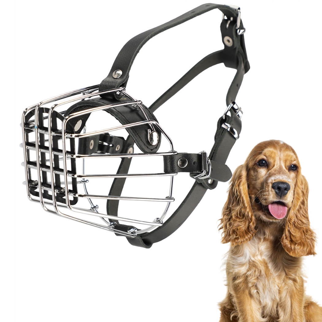 Kaganiec dla psa, metalowy nr 4 (obwód kufy 33cm), Spaniel duży Dingo-Zdjęcie-0