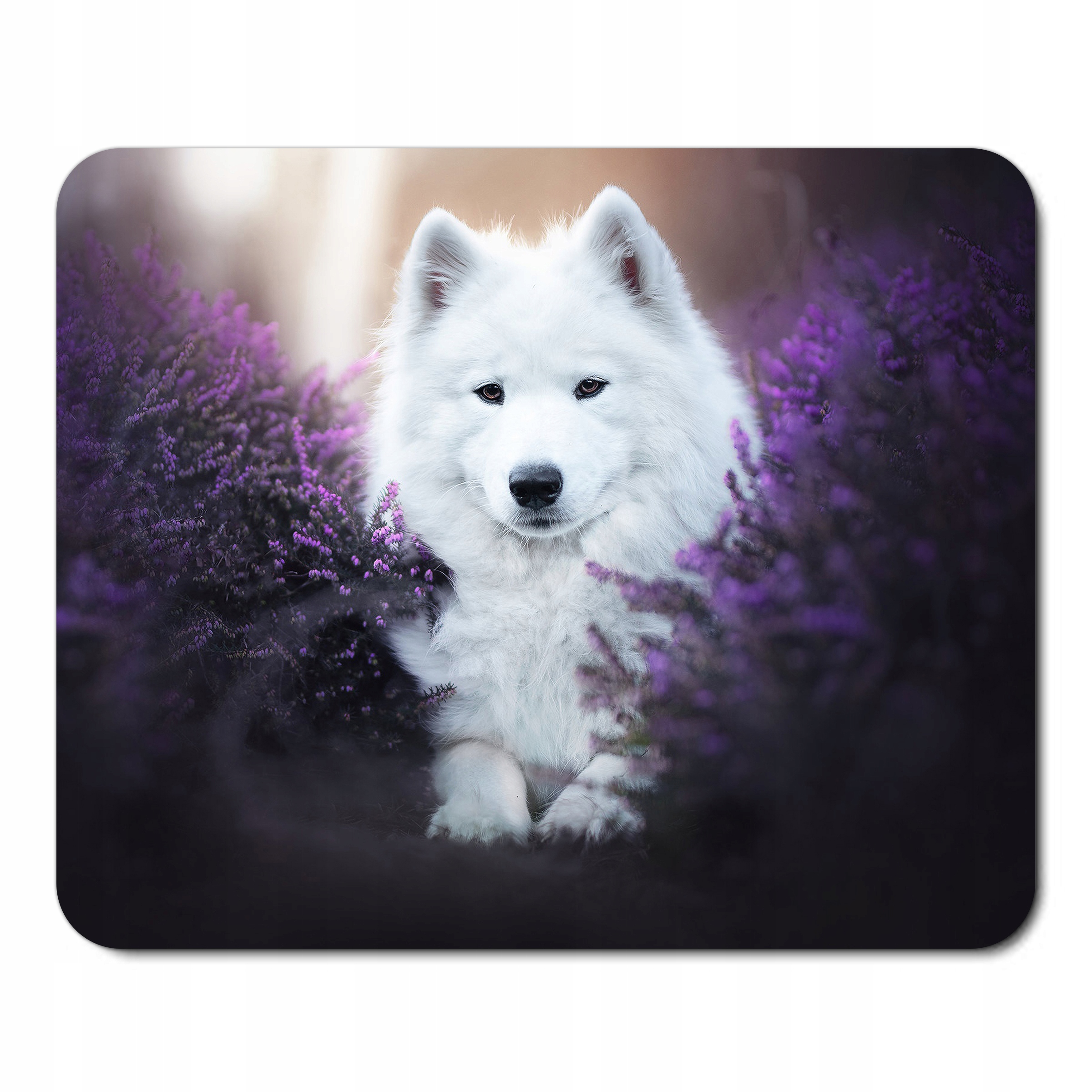 

Podkładka Pod Mysz Myszkę Z Psem Pieski Samoyed