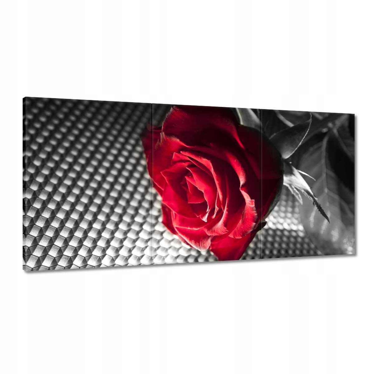 Obrazy 180x90 Ruža pre ženu