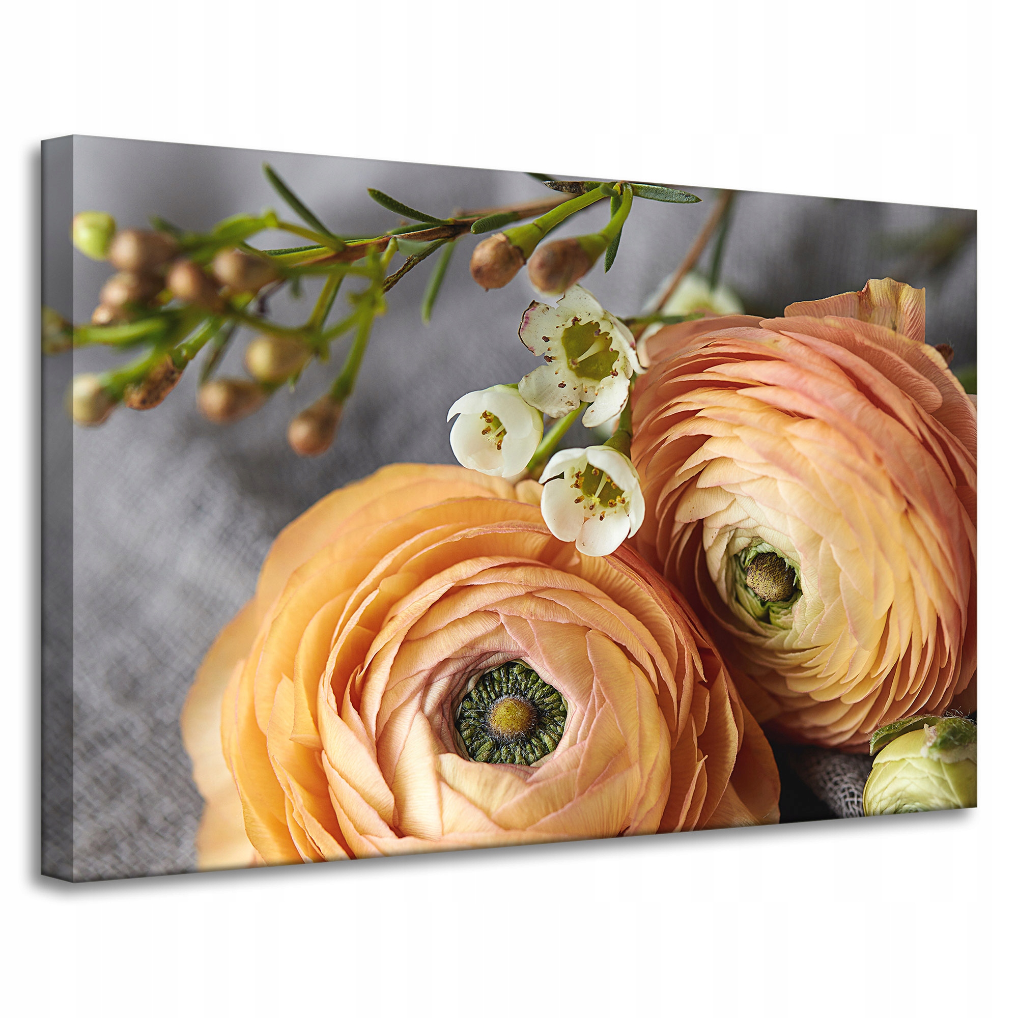 Obraz Canvas Botanika Čajové květiny 90x60 cm