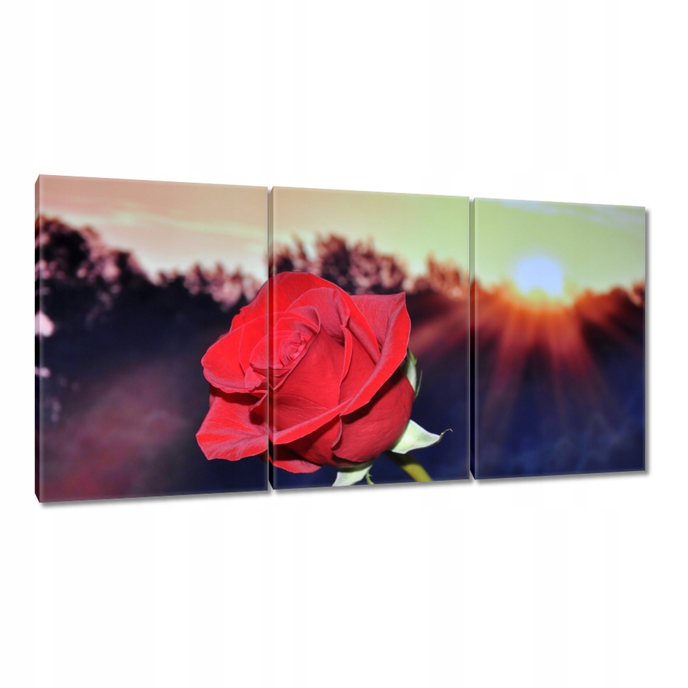 

Obrazy 120x60 Różna dla ukochanej