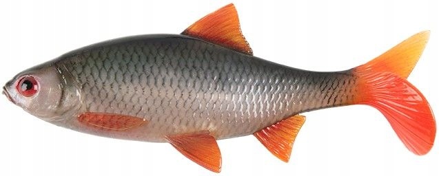 Guma Fox Rage 14cm Ultra Realistic Replicant Roach
