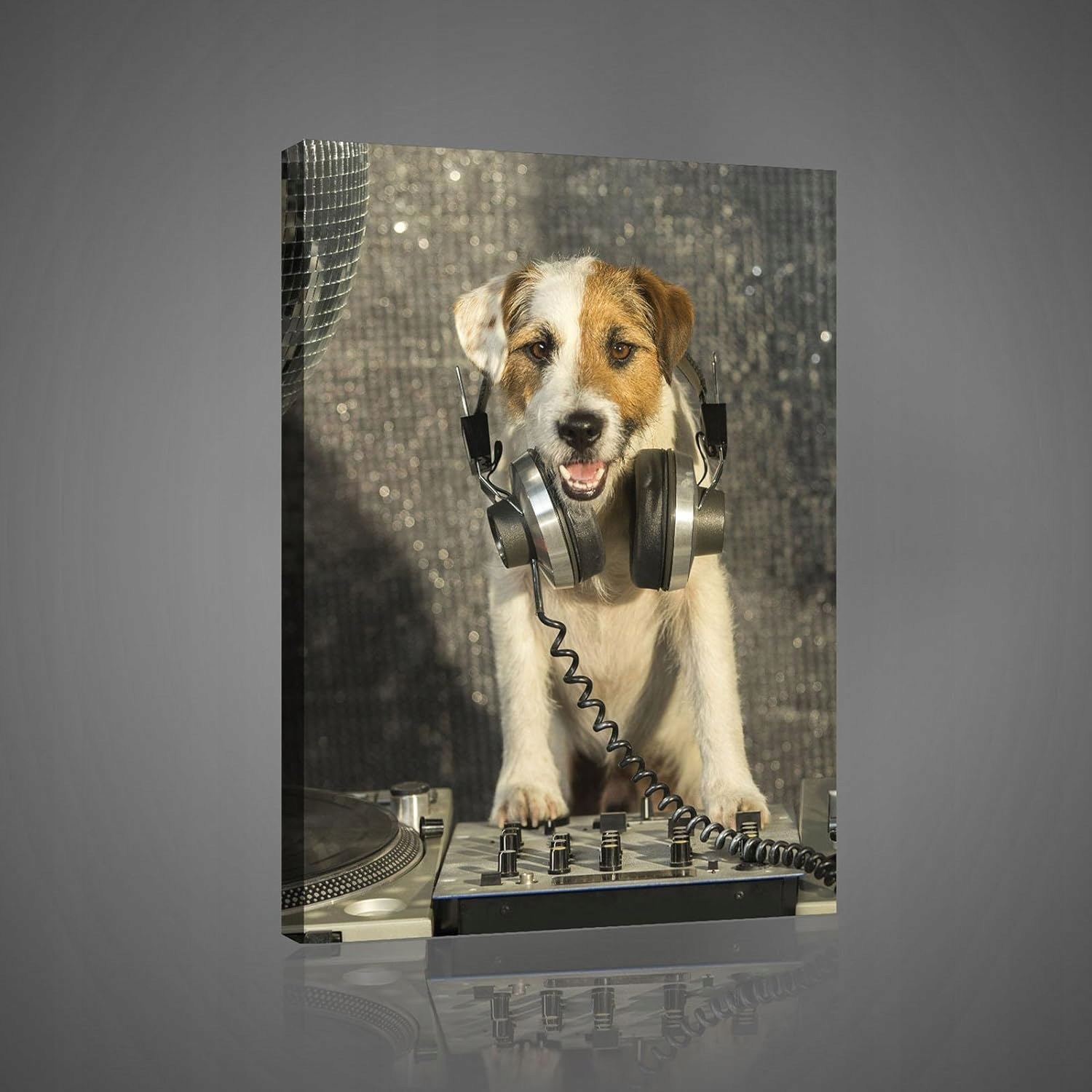 Obraz 60x80 Pes Dj Pop-Art do pokoje pro mládež Veselý akcent