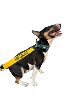 Smycz Przedłużka Taśma szerokość 3cm ok. 30cm Peloskleppl Nie Dotykaj żółta