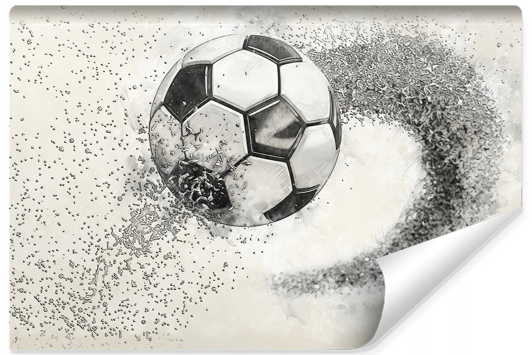 Fototapeta Fotbal Retro pro mládež 360x240