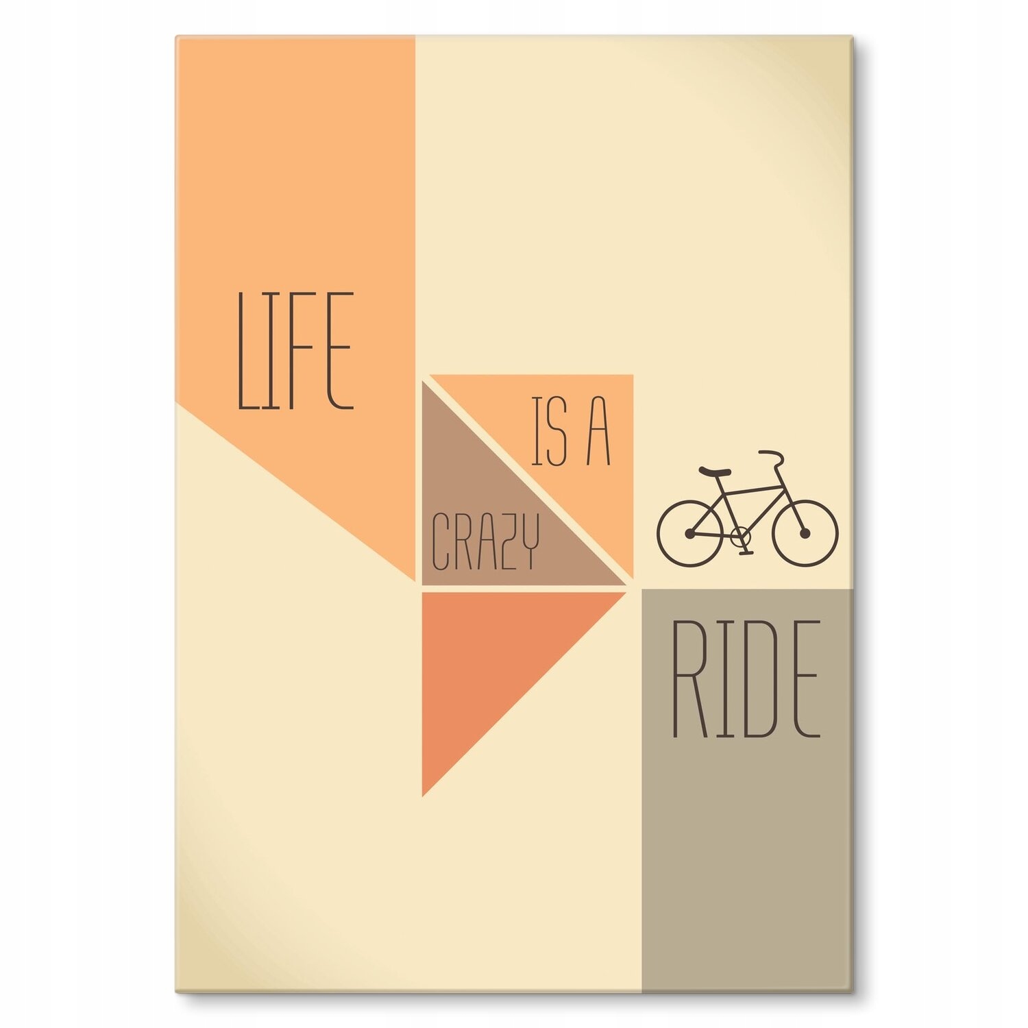 Kovový plakát Life is a crazy ride Szyld Plech 30 x 42 cm Dárek