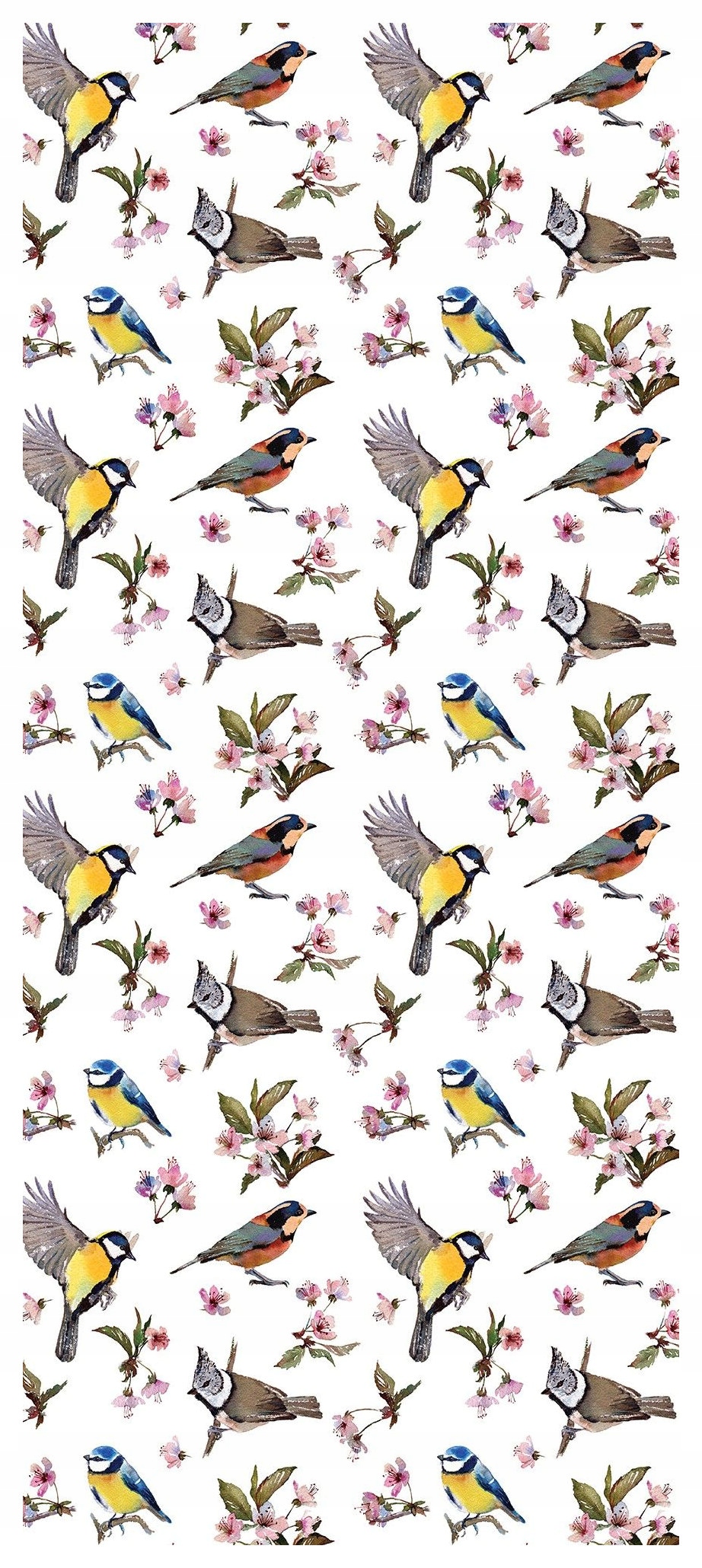Samolepicí Samolepicí Fototapeta Ptáci a květiny jarní nálada 91x211