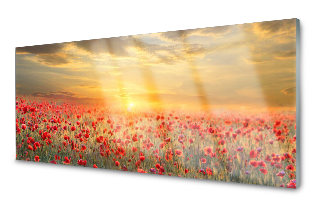 

Panel szklany do kuchni Łąka Mak Kwiaty 125x50
