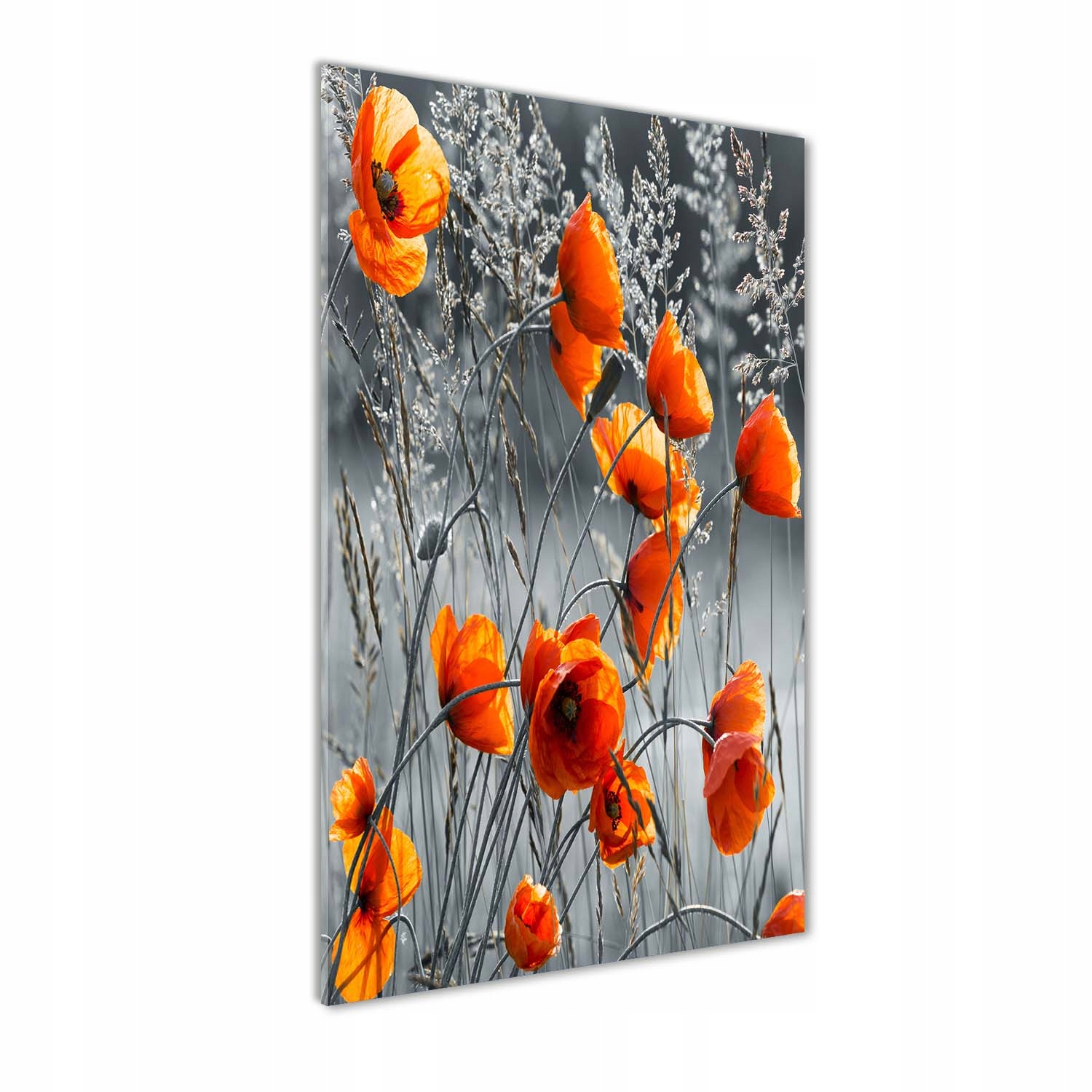 

Foto obraz akrylowy na ścianę Polne maki 60x120cm
