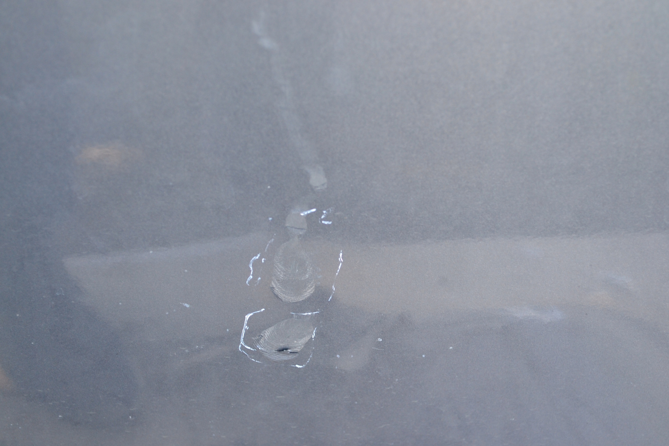 CITROEN C3 PICASSO door left rear part complete.