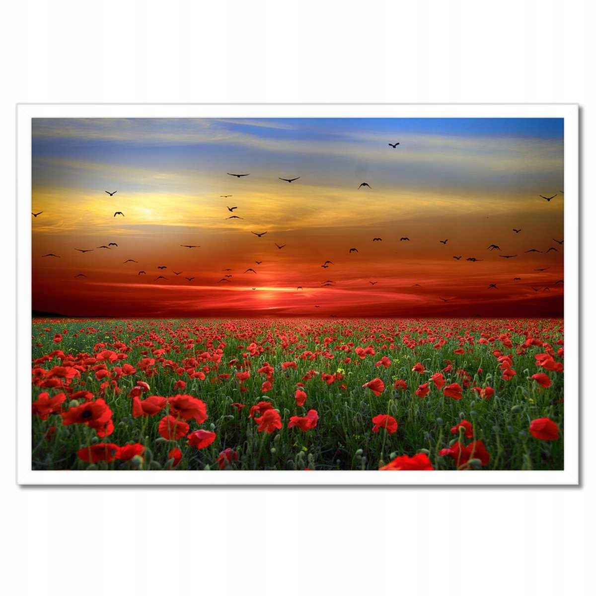 Plakáty v rámu 60x40 Krajina Pohled
