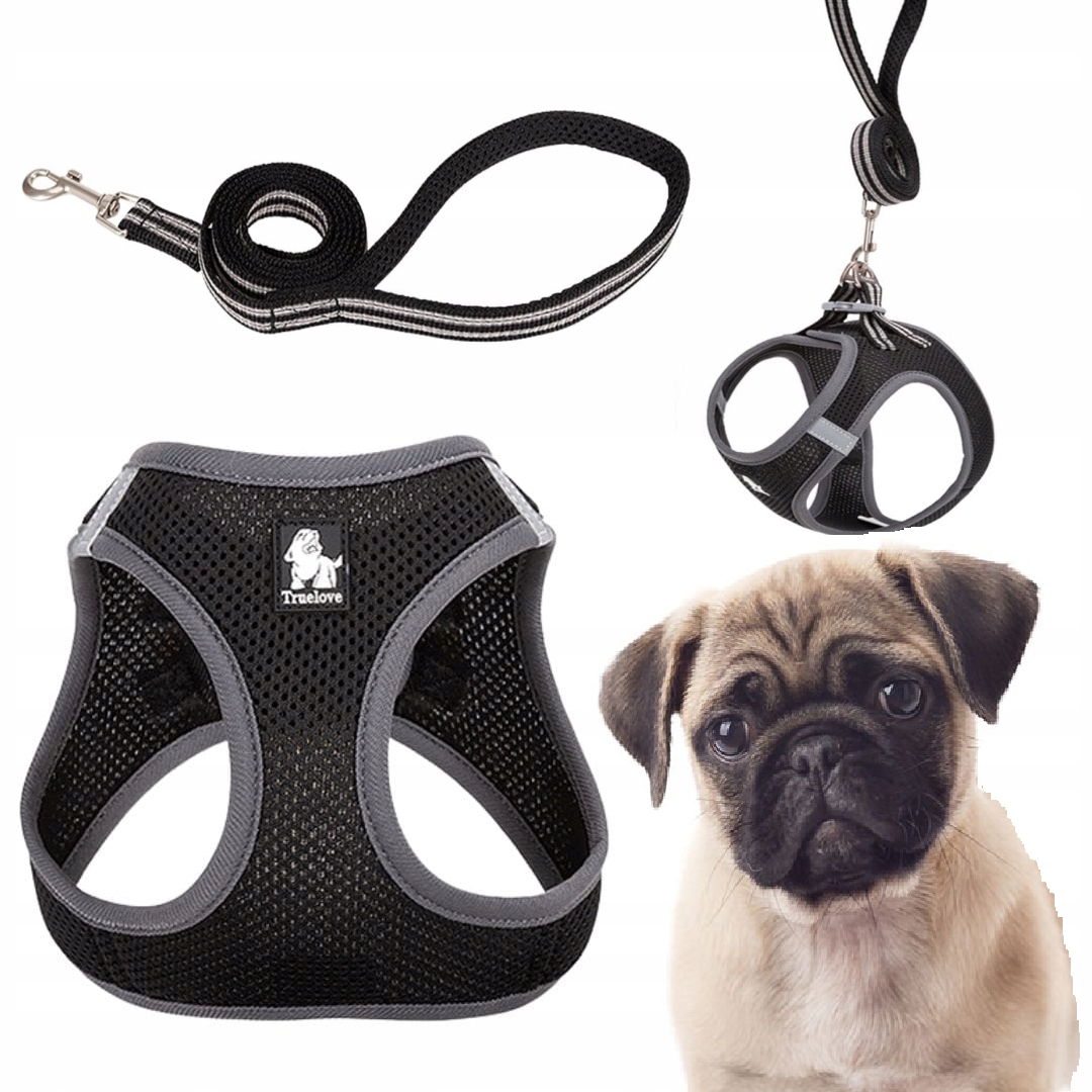 Levně Postroj Vodítko Pro Malého Psa Kočky Lehké Truelove Mini Černé L Set