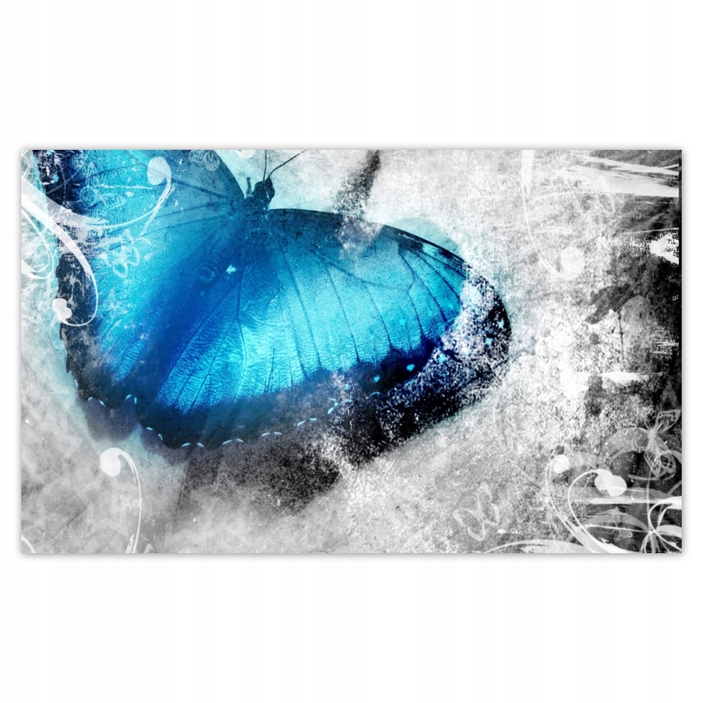 

Fototapety flizelina 416x254 Delikatny motylek