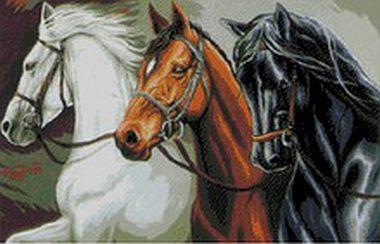 Křížková výšivka počítaná sada (kanva, mulina)