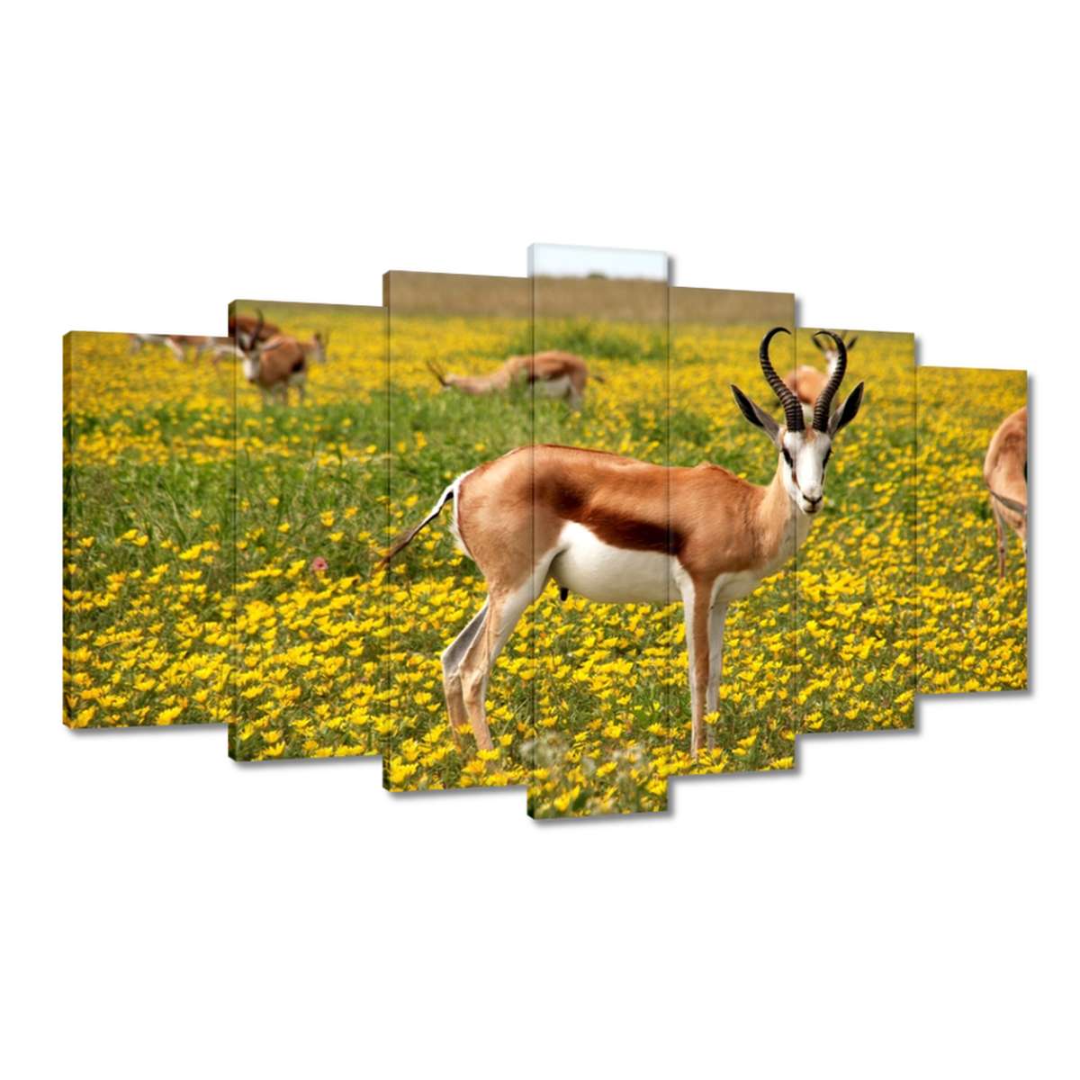 Obrazy 140x80 Antilopa mezi květinami