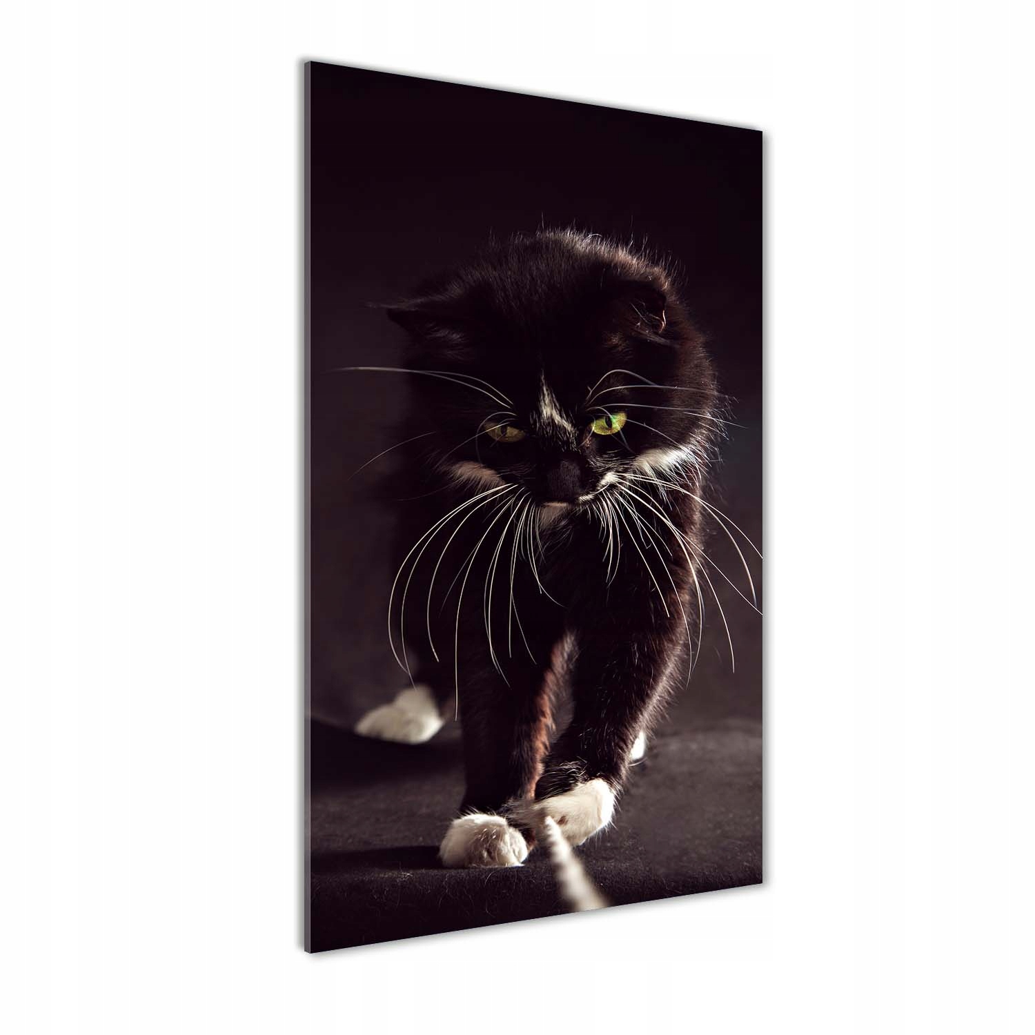 

Foto obraz szkło hartowane Czarny kot 60x120 cm