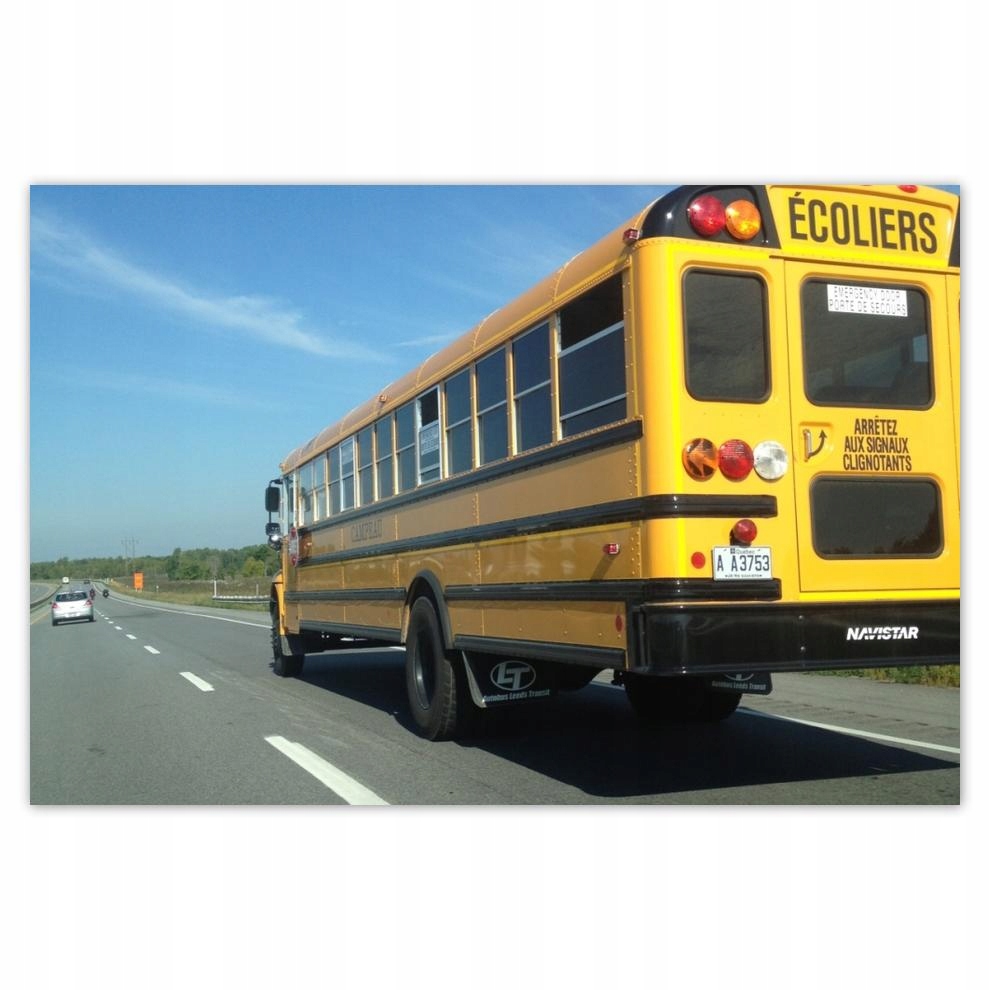 

Plakaty 60x40 Żółty Schoolbus