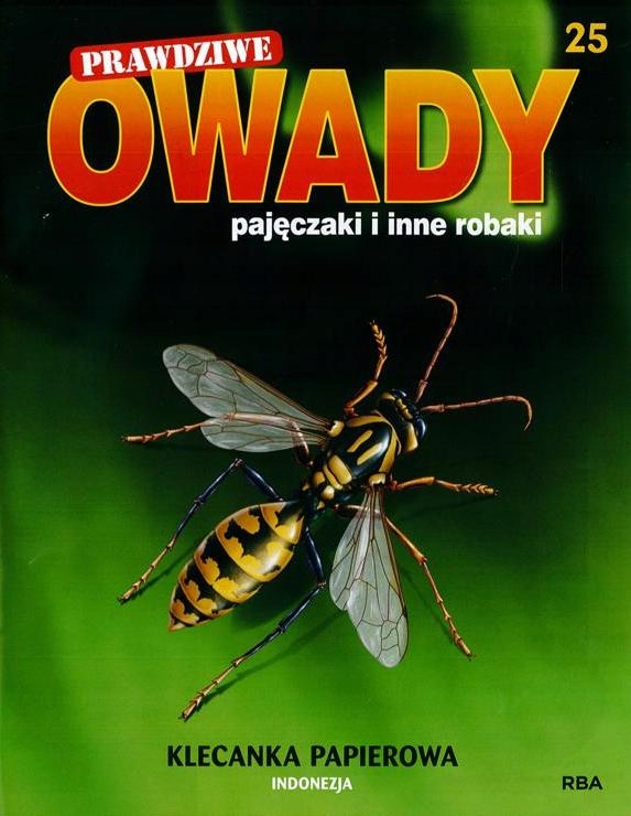 PRAWDZIWE OWADY, PAJĘCZAKI 25 KLECANKA PAPIEROWA