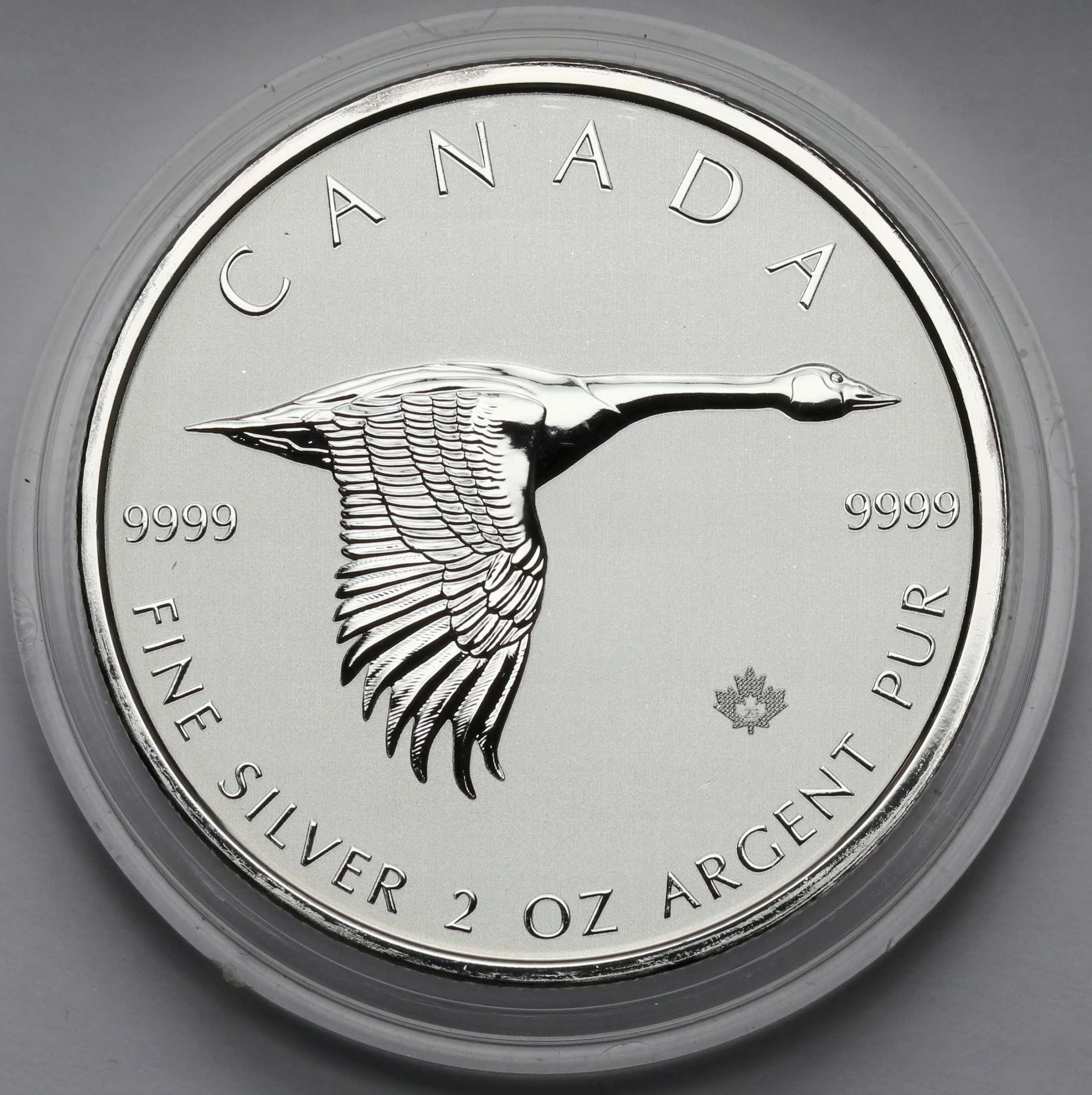 2341. Kanada, 10 dolarów 2020 Gęś - 2 oz. Ag.999