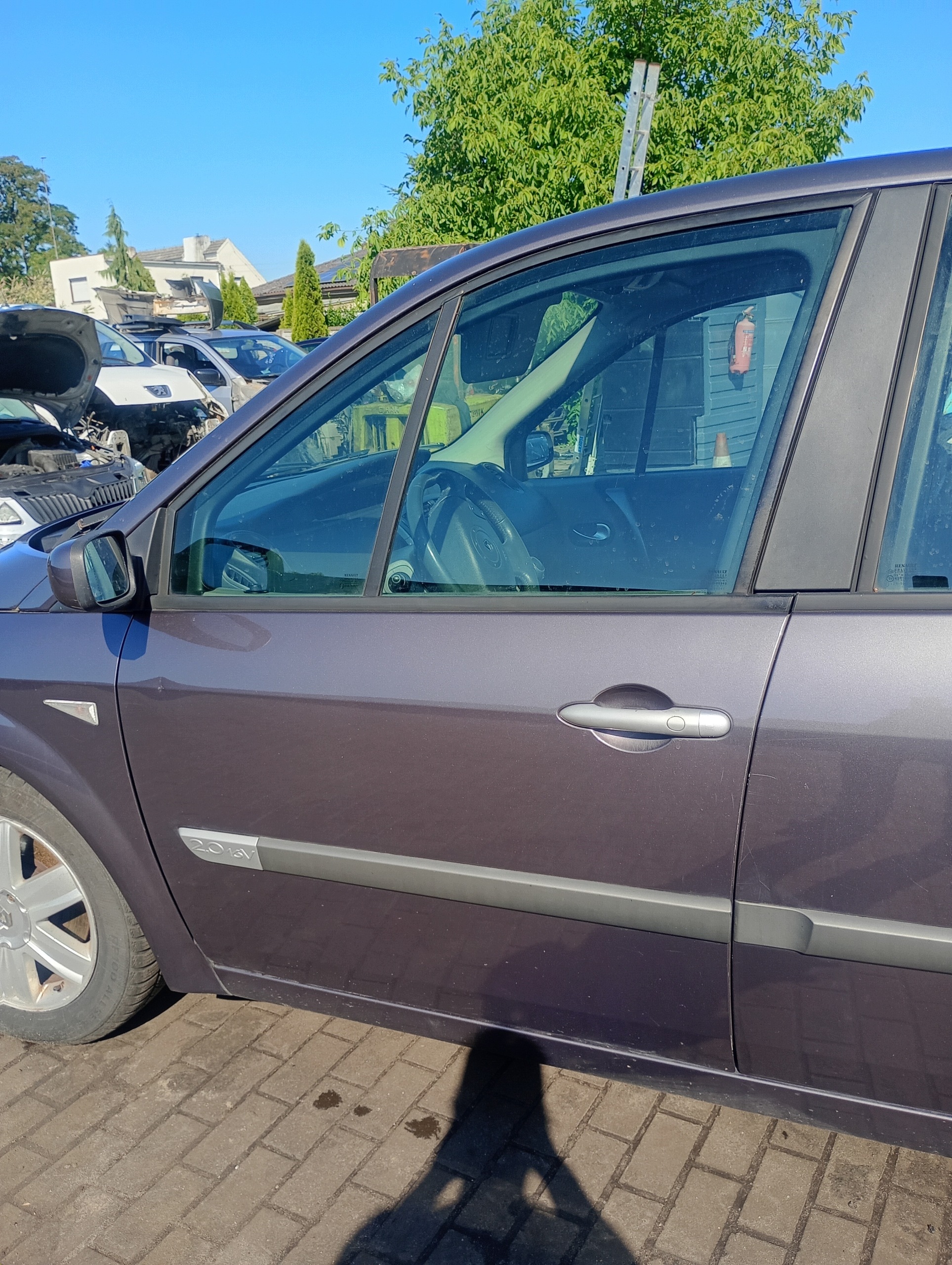 door left front front Renault Scenic 2 II 03-09 kod lakieru TEC68
