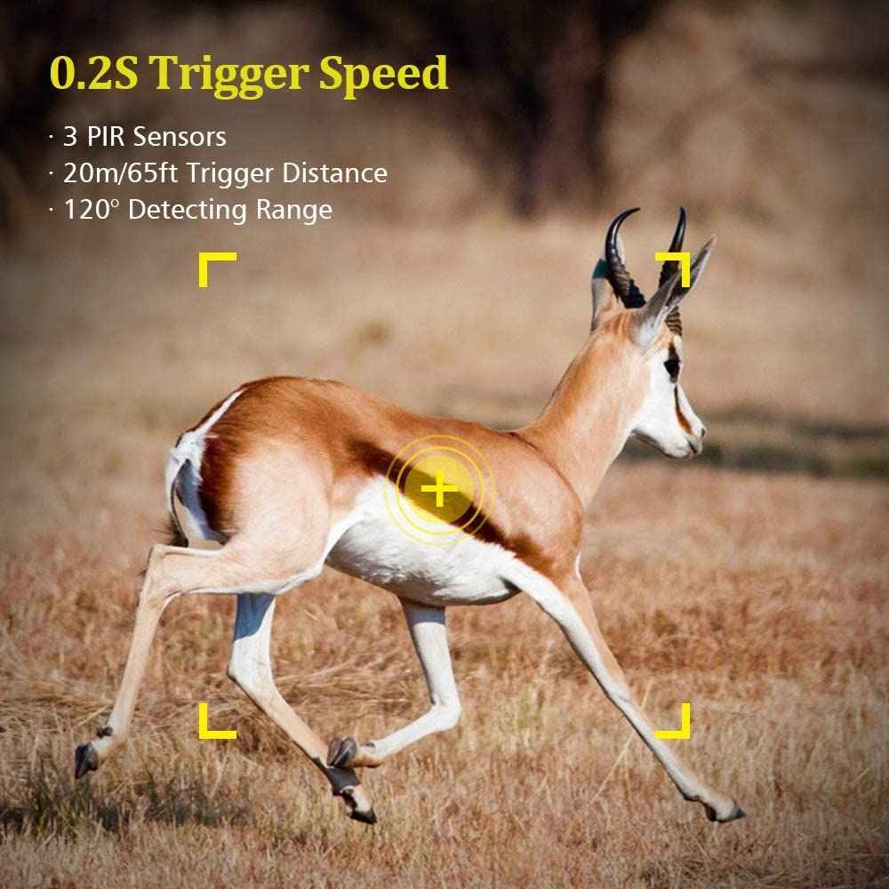 HC-900PRO FOTOPUŁAPKA 4G LTE APP DO PODGLĄDU LIVE_`_`!_! Pojemność zainstalowanego dysku 1 TB