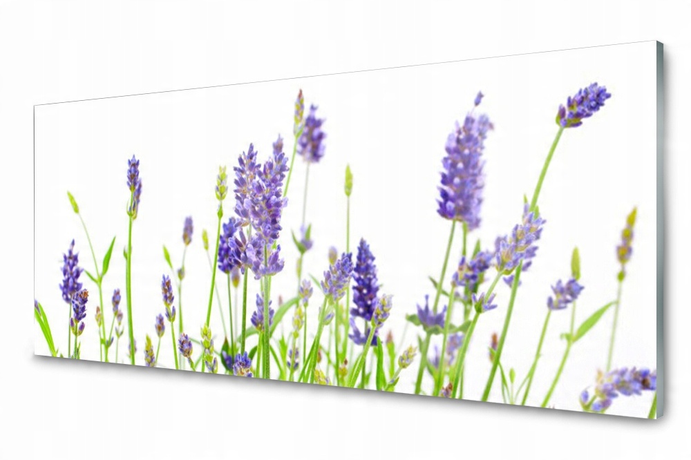 

Panel Szklany Do Kuchni Kwiaty Lawenda 140x70
