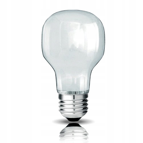 

Żarówka Ozdobna Tradycyjna 40W 230V E27 Mleczna