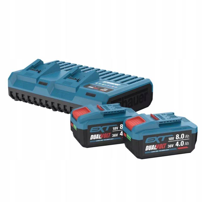 Zestaw Akumulatory akumulator Erbauer 18 V 2 x 8 Ah Ładowarka