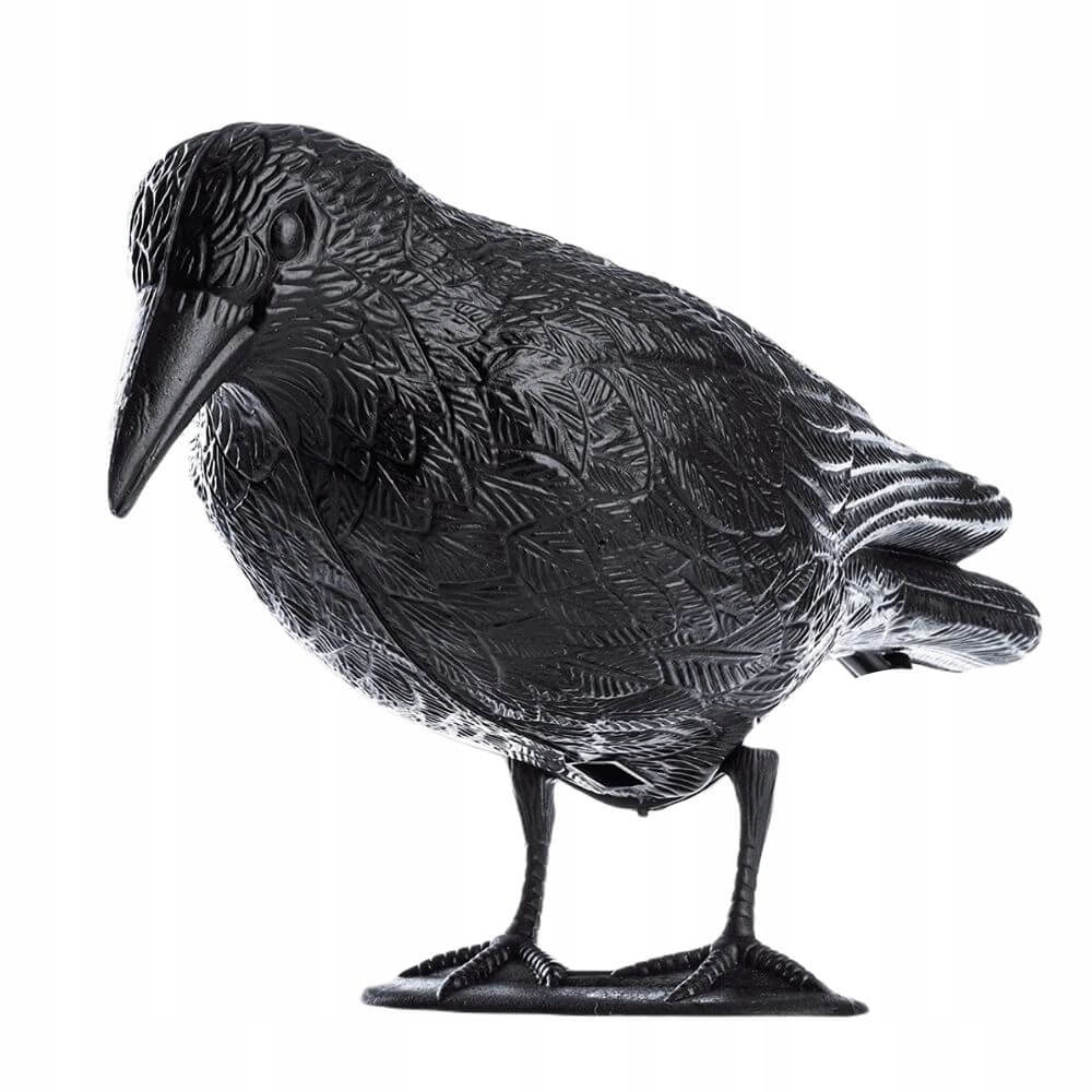 

Kruk odstraszacz ptaków gołębi szpaków na ptaki