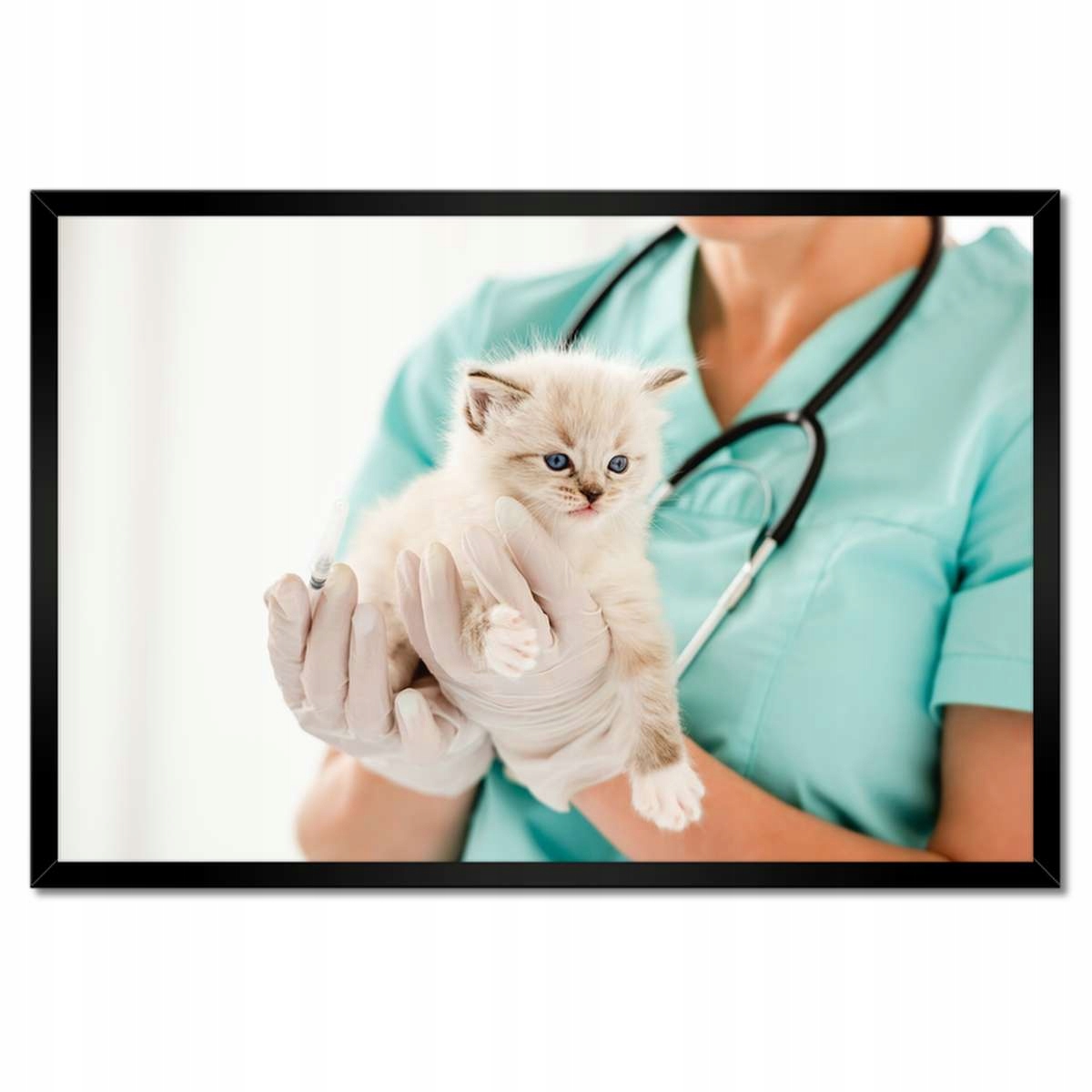 Plakáty v rámu 60x40 Kočička veterinář klinika