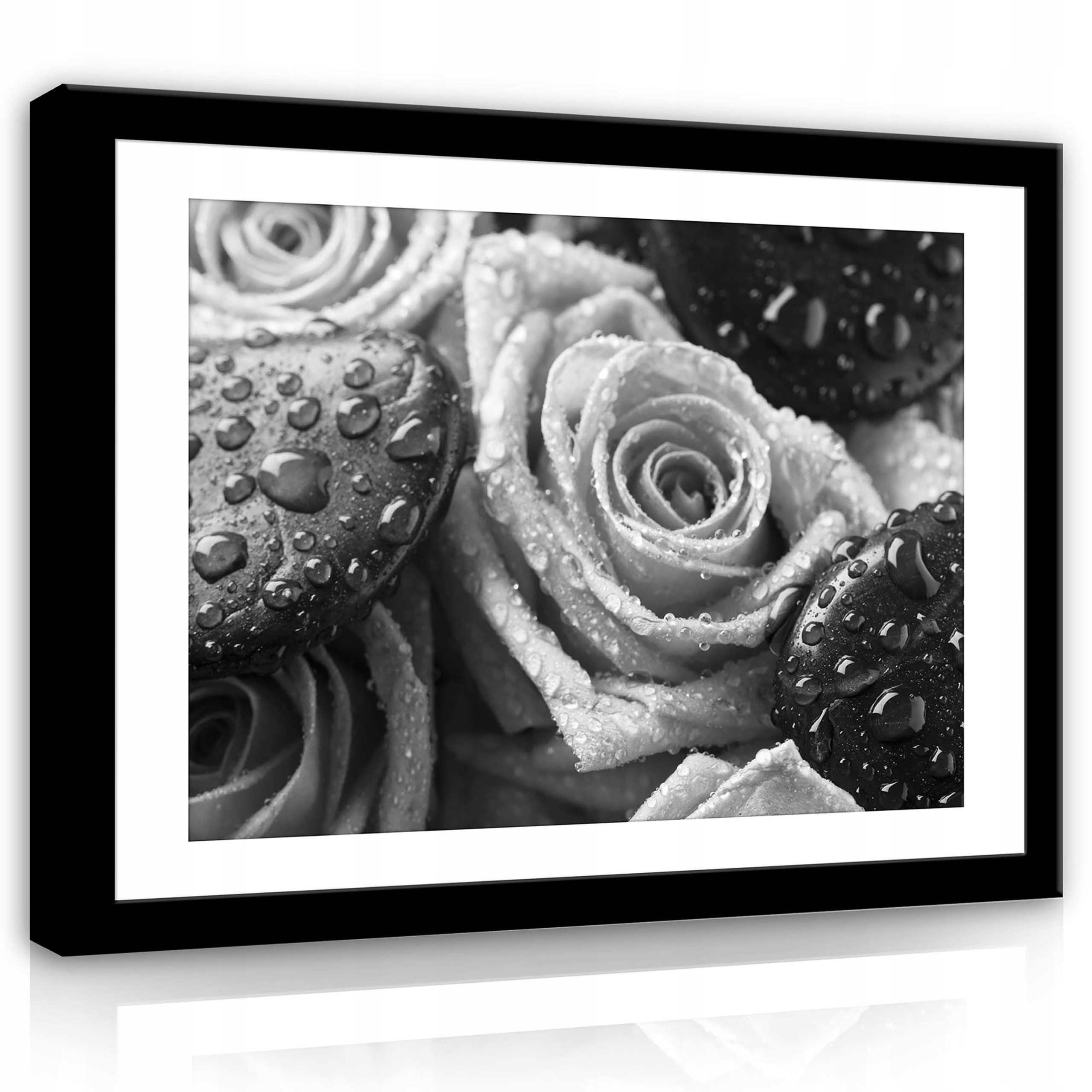 Obraz 70x50 Černobílé růže kapky vody jemnost elegičnost kontrast