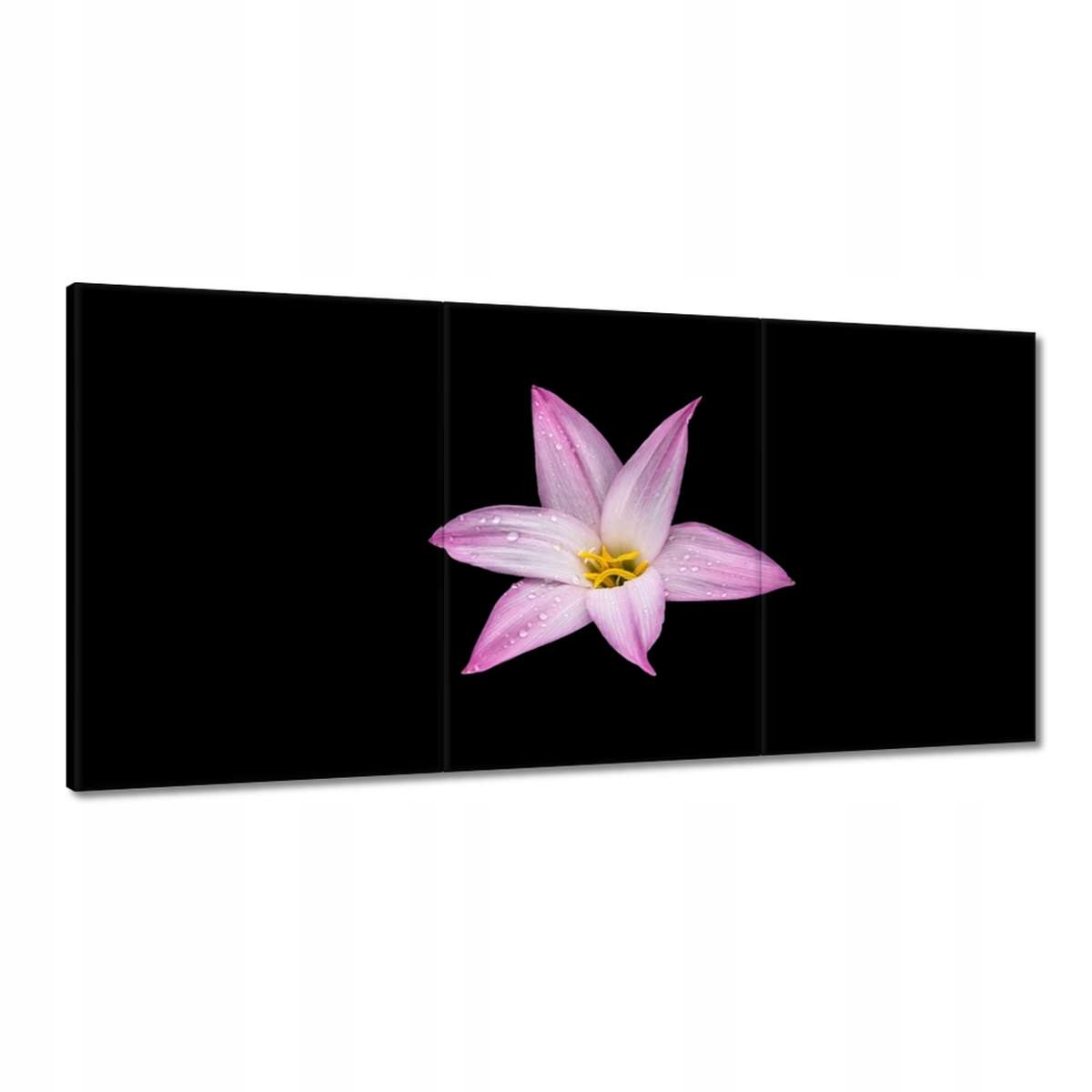 Obrazy 180x90 Kvietky Kvety Kvetinky